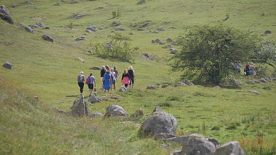 The Degeberga Trail image