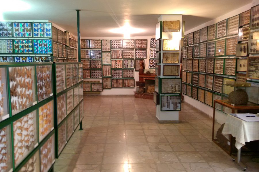 Entomological Museum of Volos image