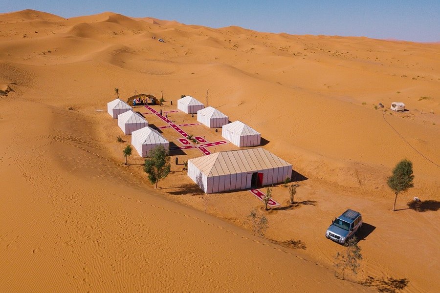 Desert Majesty image