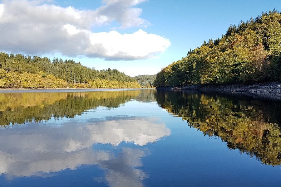 Three Lochs Forest Drive image