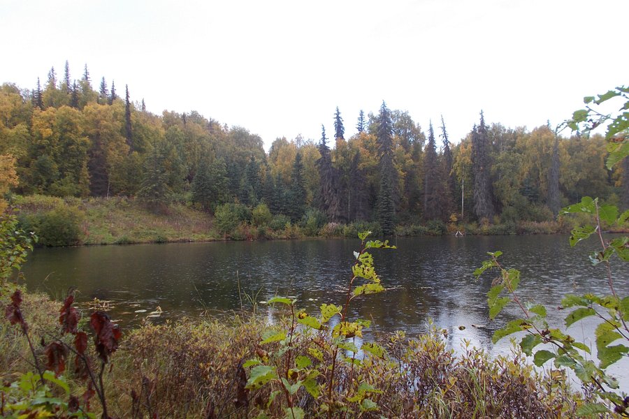Nancy Lakes Recreation Area image