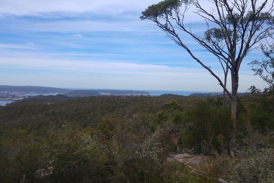Staples Lookout image