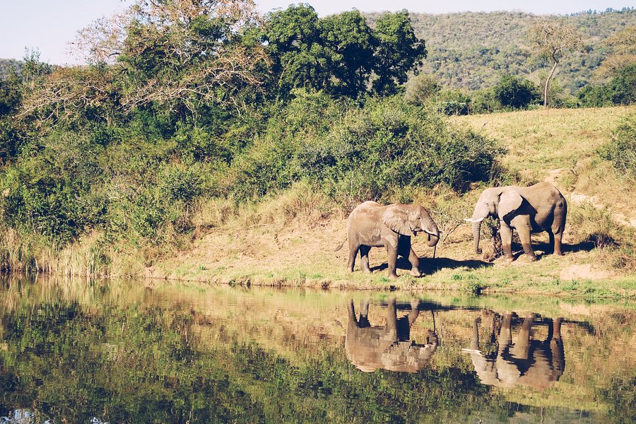 The Elephant Sanctuary image