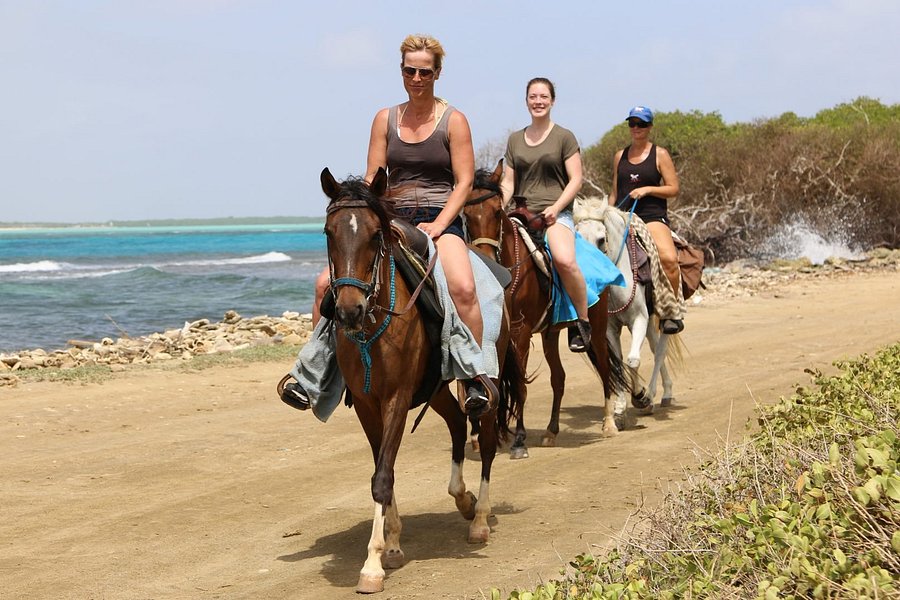 Horse Ranch Bonaire image