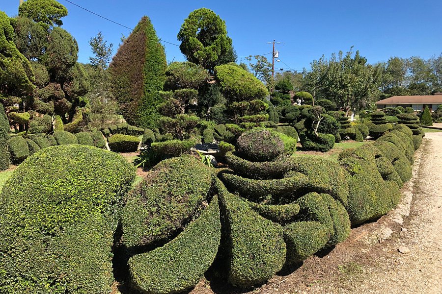 Pearl Fryar's Topiary Garden image