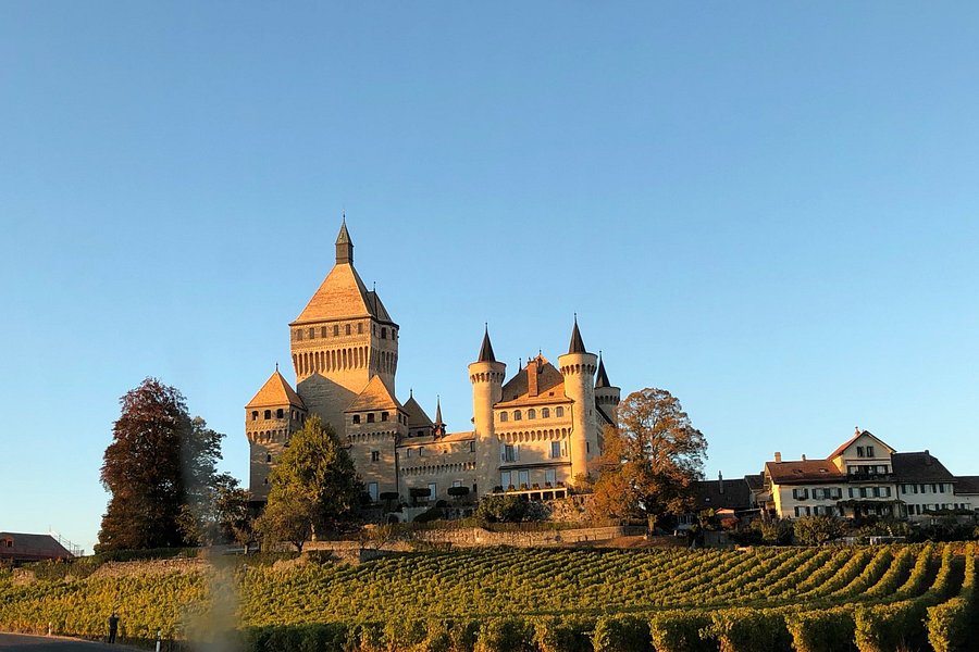 Château de Vufflens image