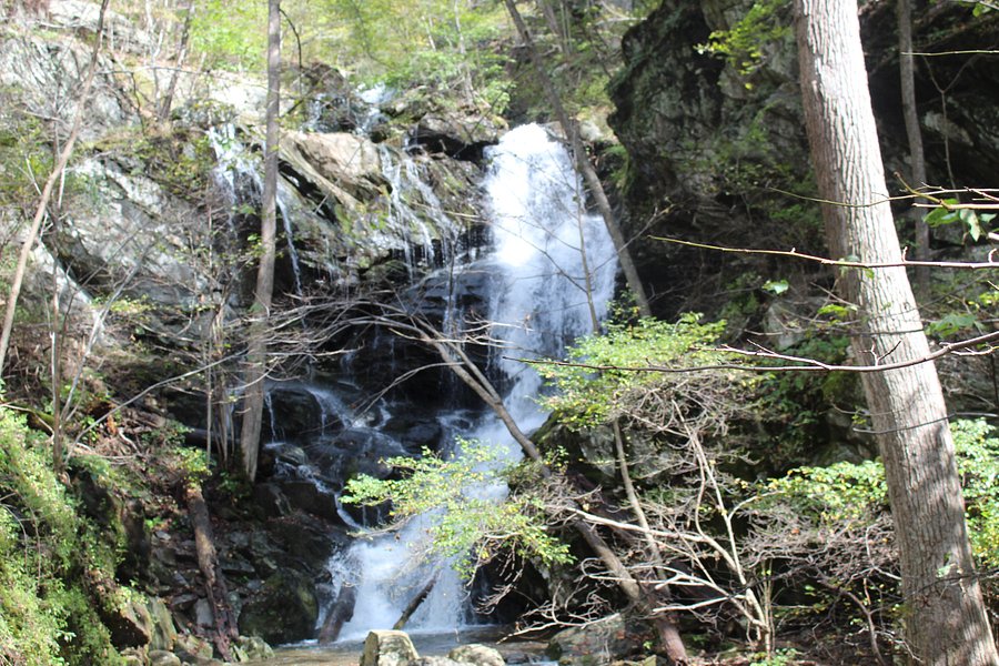 Doyles River Falls image