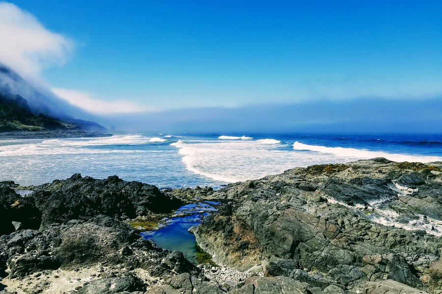 Cape Perpetua Scenic Area image