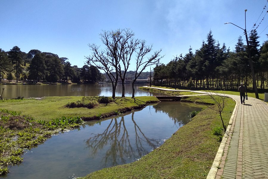 Lago das Araucárias image