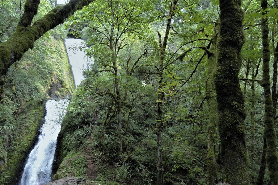 Bridal Veil Falls State Park image