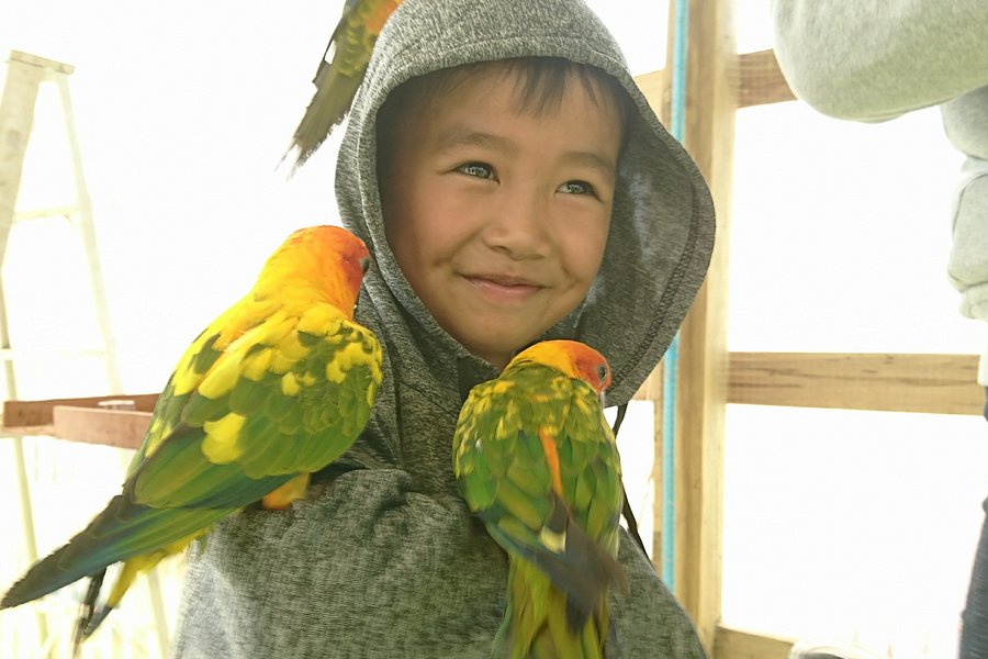 Birds and flower Cafe in Paksong image