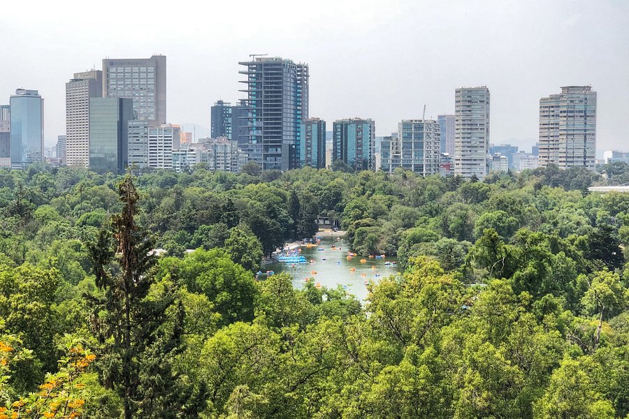 Bosque de Chapultepec image