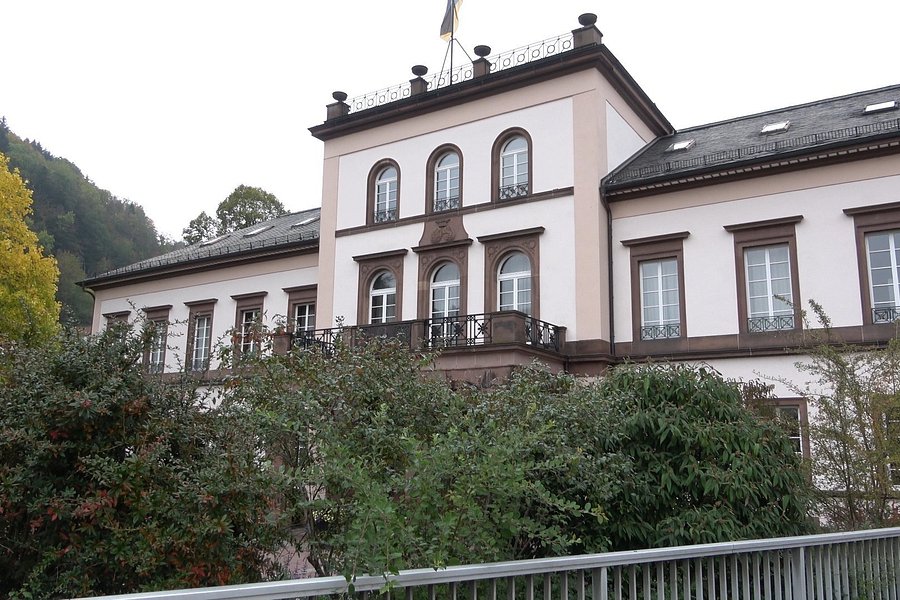 Stadtmuseum Schramberg image