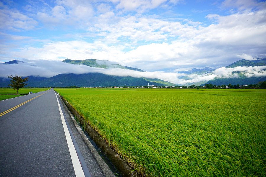 Taitung Brown's Road image