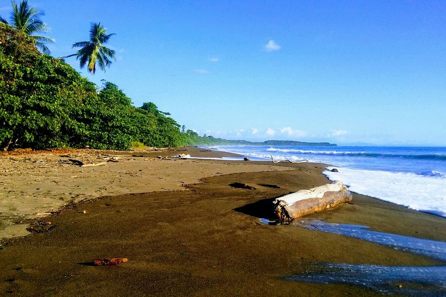 Dominicalito Beach image