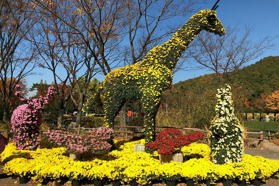 Daegu Arboretum image