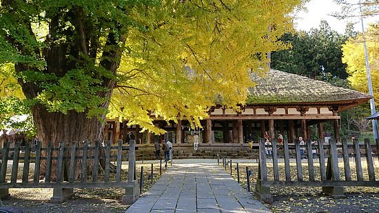 Shingu Kumano Shrine Nagatoko image