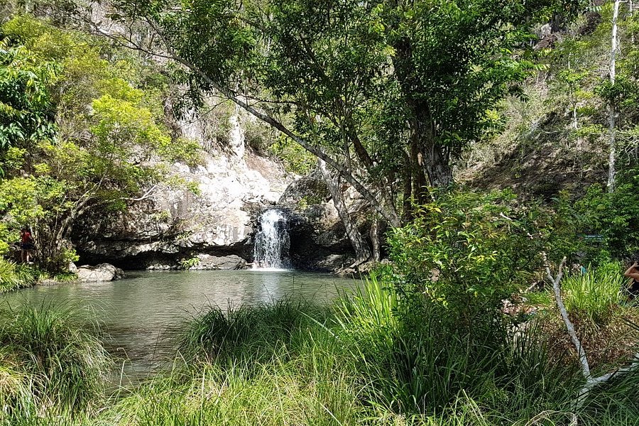 Kondalilla Falls image