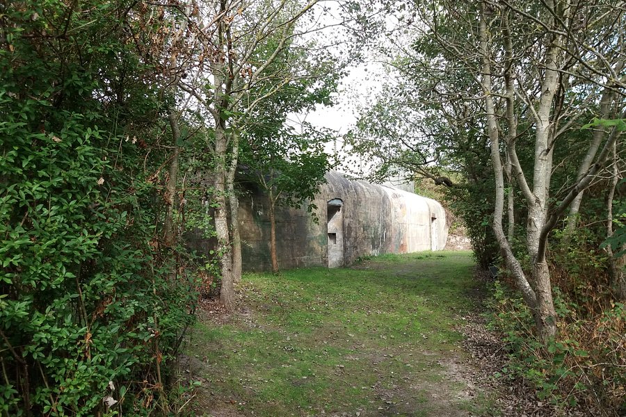 Bunkerverhalen Dishoek November '44 image