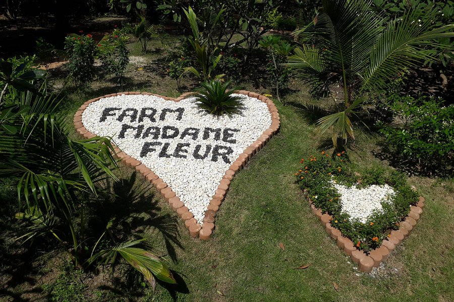 Farm Madame Fleur image