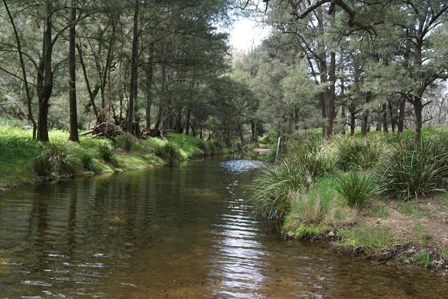 Turon National Park image