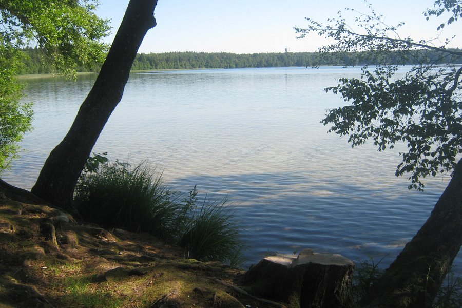 Lake Svityaz image