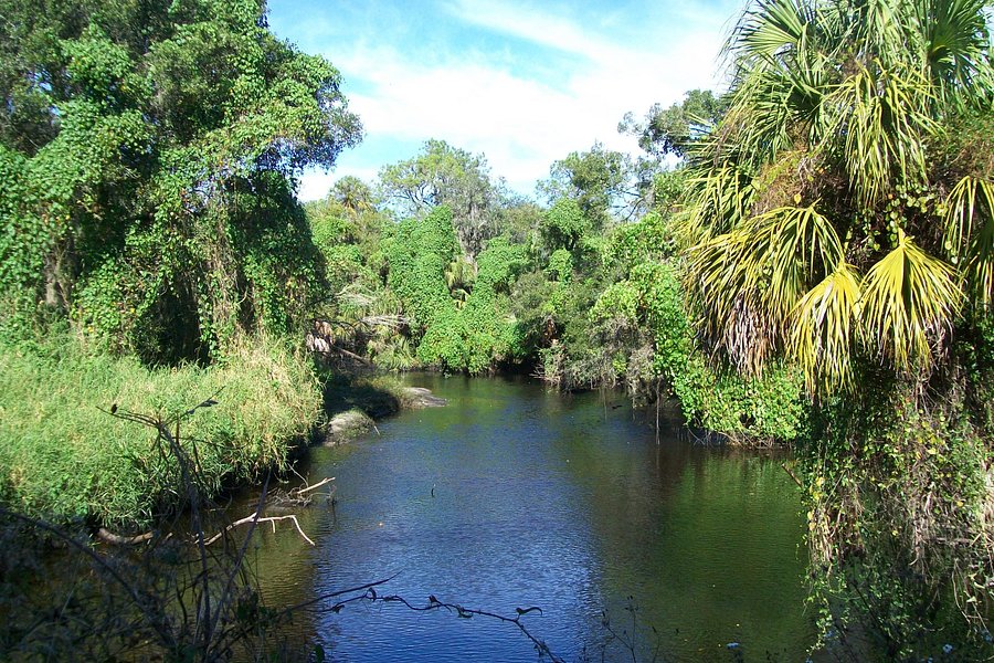 Little Manatee River State Park image