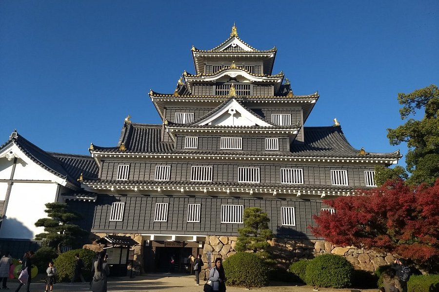 Okayama Castle image