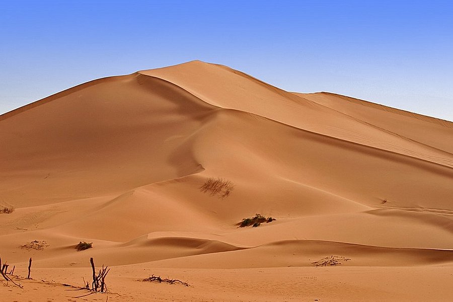 Excursion Desert image