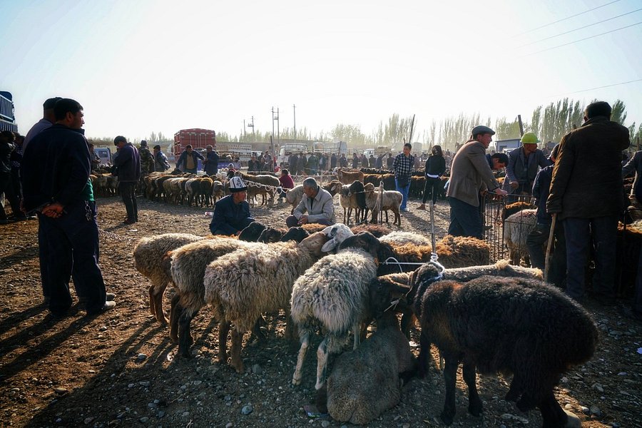 Kashgar Live Stock Market image