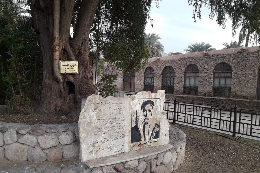 Aqaba Archaeological Museum image