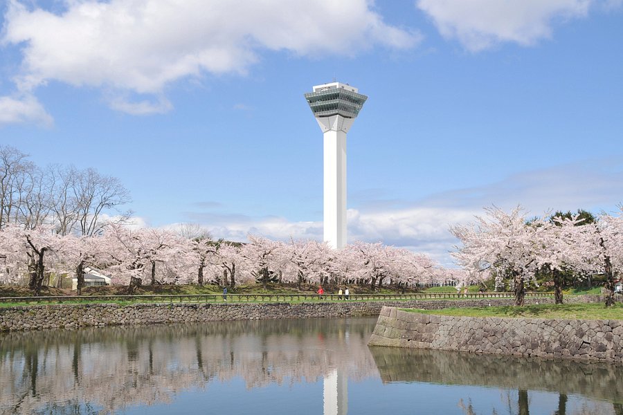 Goryokaku Tower image