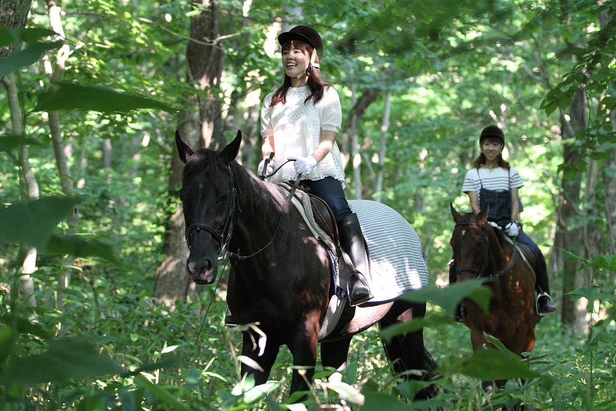 Niikappu Horoshiri Horse Riding Club image