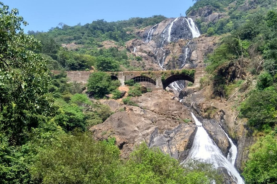 Dudhsagar Falls image
