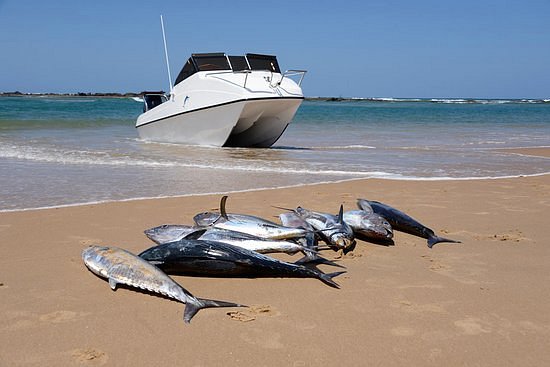 Zavora Fishing Charters image