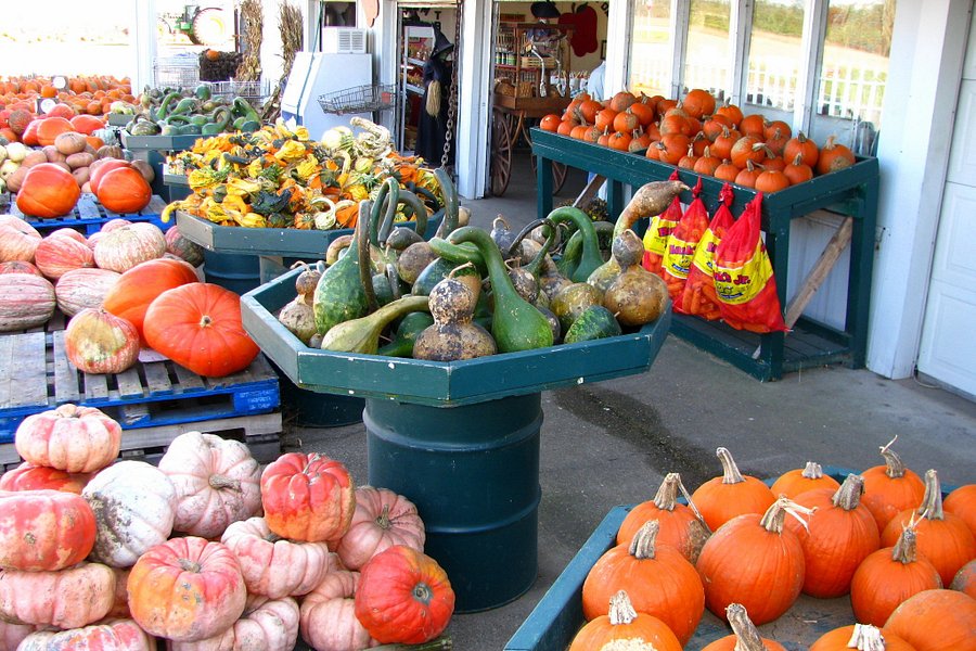 Peck's Farm Market image