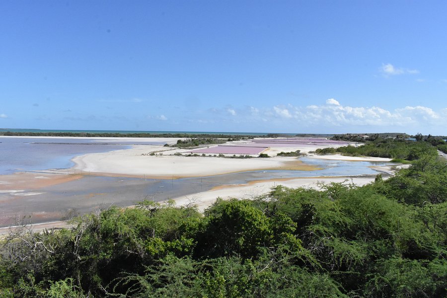 Salt Flats and Wildlife Refuge image
