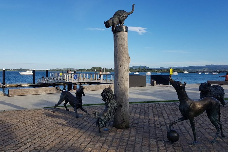 Hairy Maclary & Friends Tauranga Waterfront Sculpture image