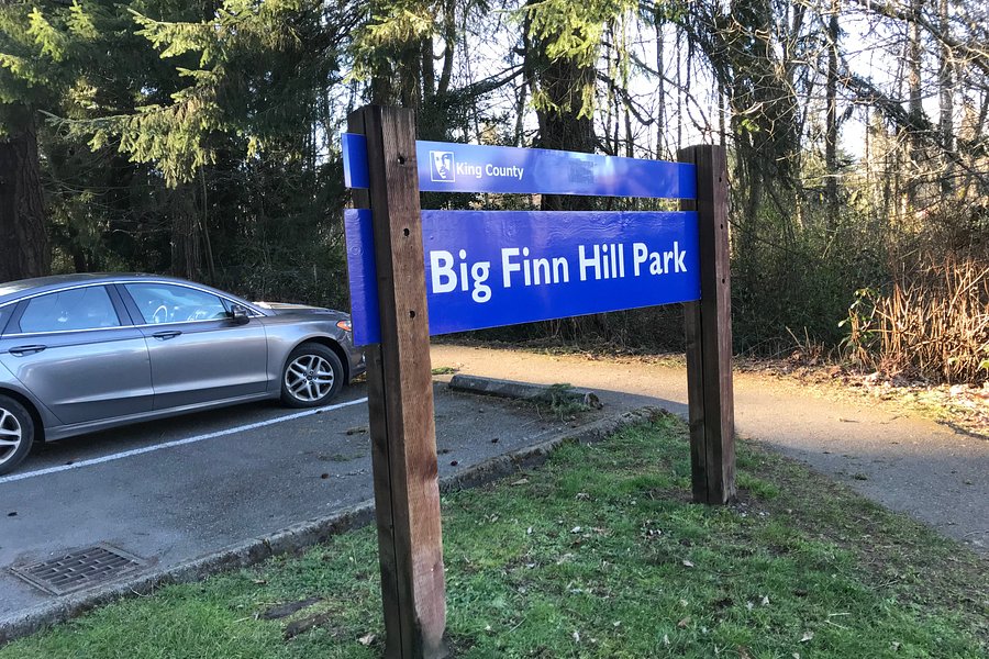 Big Finn Hill Park image