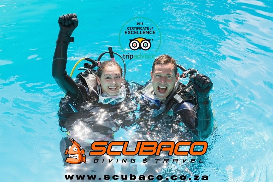 ScubaCo Diving & Travel image
