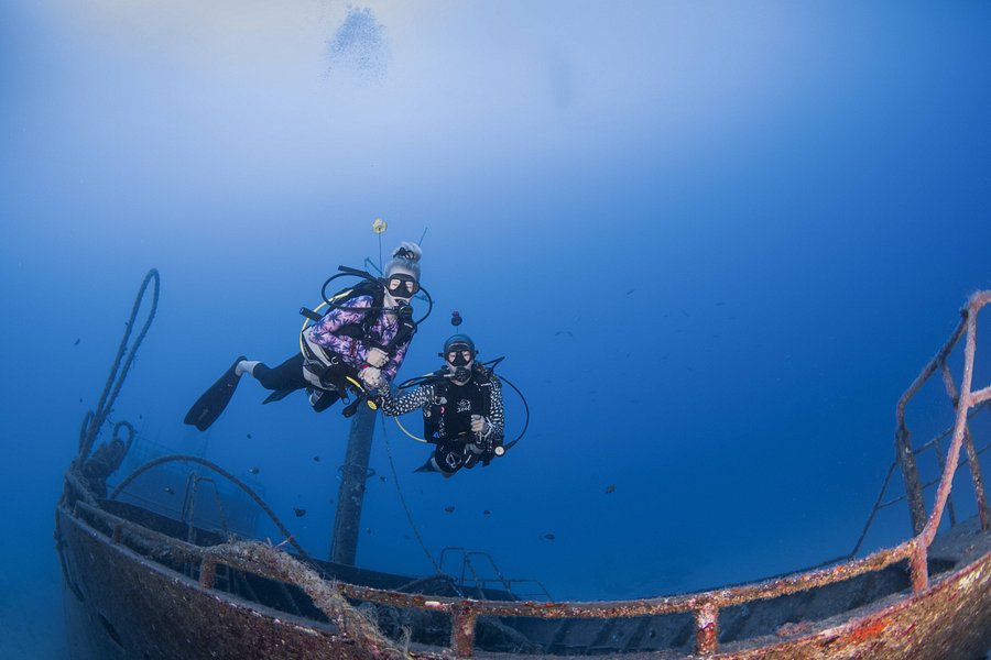 SeaUrchin Diving Center image