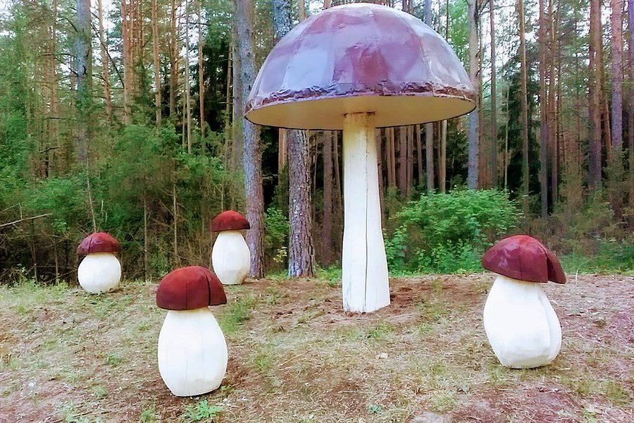 Sculptures "Mushrooms" image