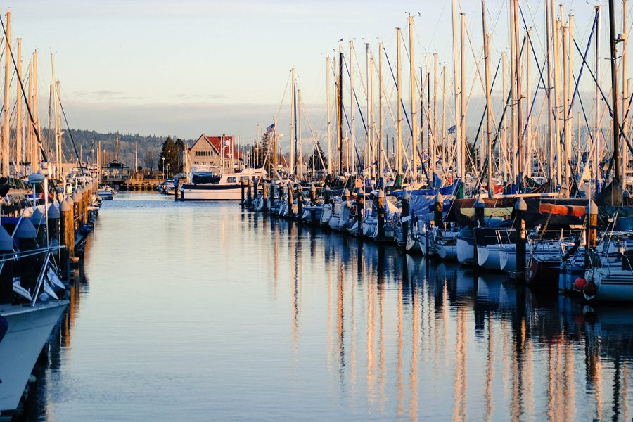 Port of Everett Marina image