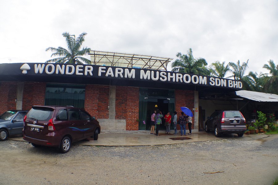 Wonder Farm Mushroom image