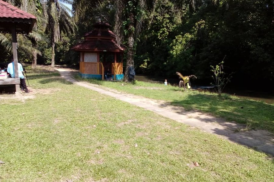 Taman Rekreasi Che Minah Sayang image