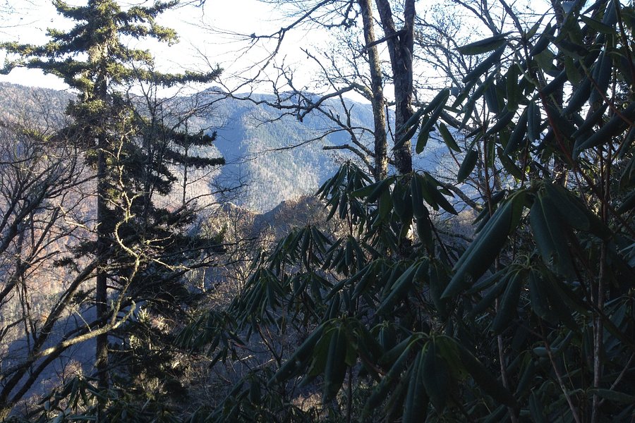 Sugarland Mountain Trail image