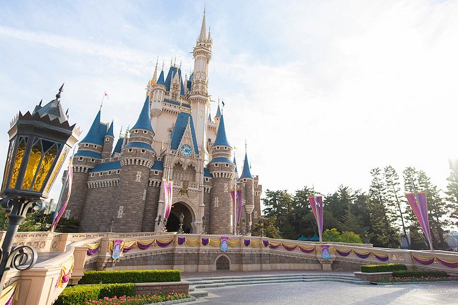 Tokyo Disneyland image