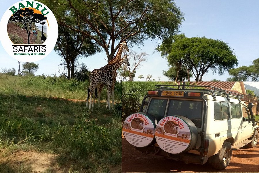 Bantu Safaris image