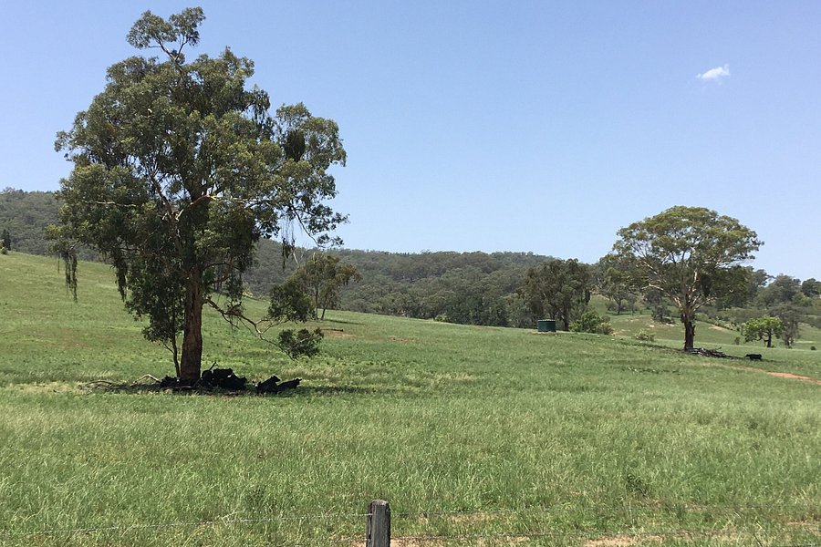 Bylong Valley Way image