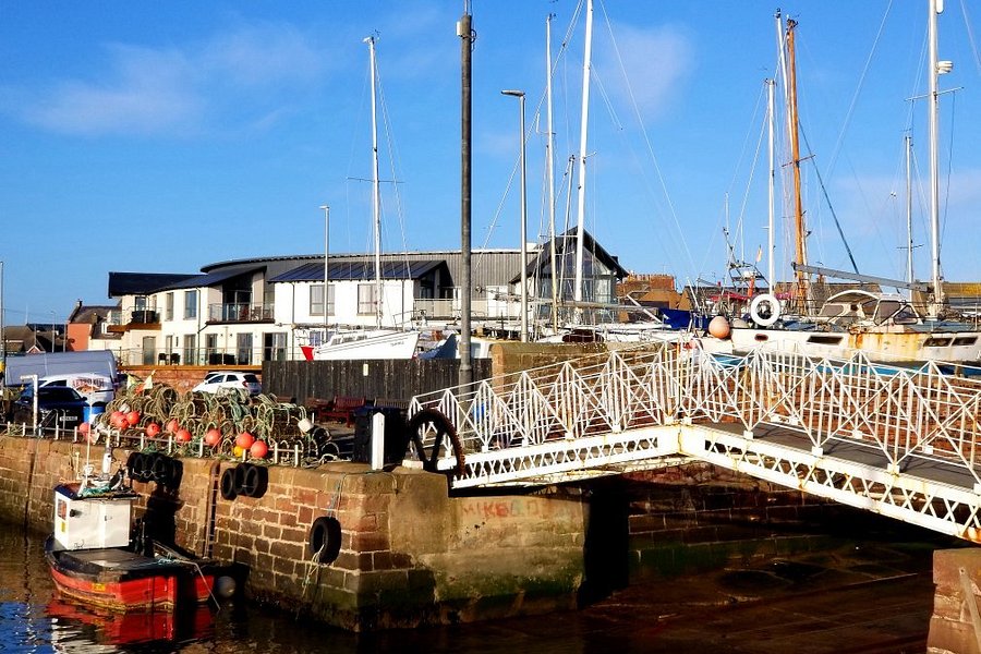 Arbroath Harbour image